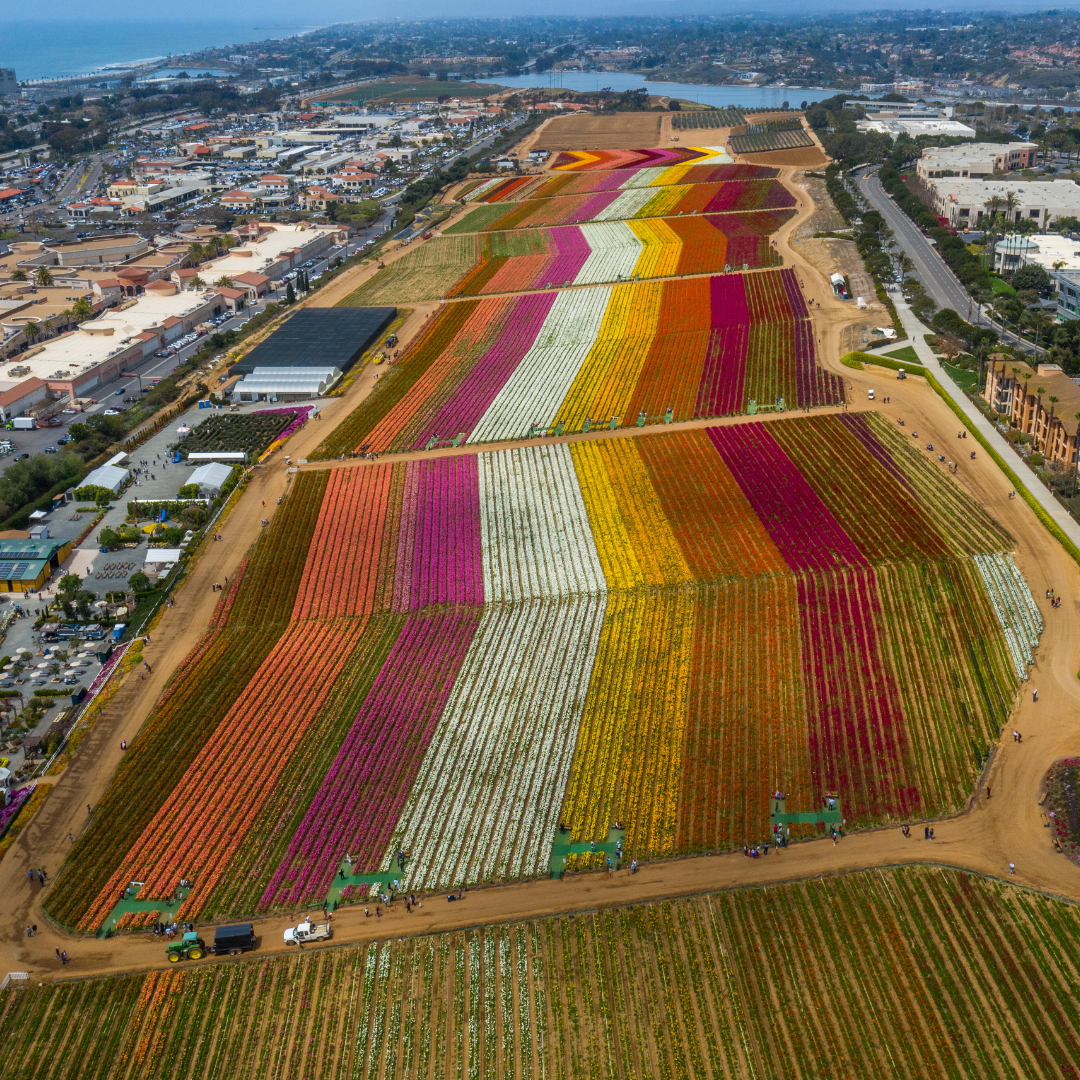 Precision Farming Optimization