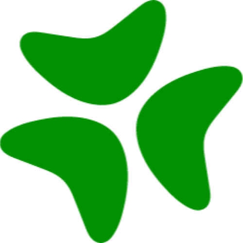 Bloomerang logo