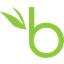 BambooHR logo