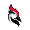 Woodpecker.co logo